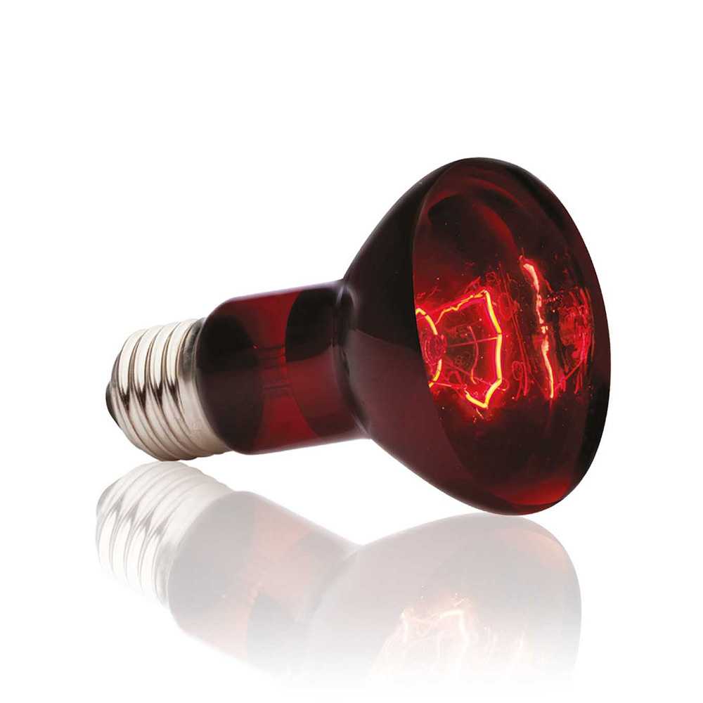 Exo Terra Infrared Basking Spot 75W Żarówka Grzewcza Czerwona
